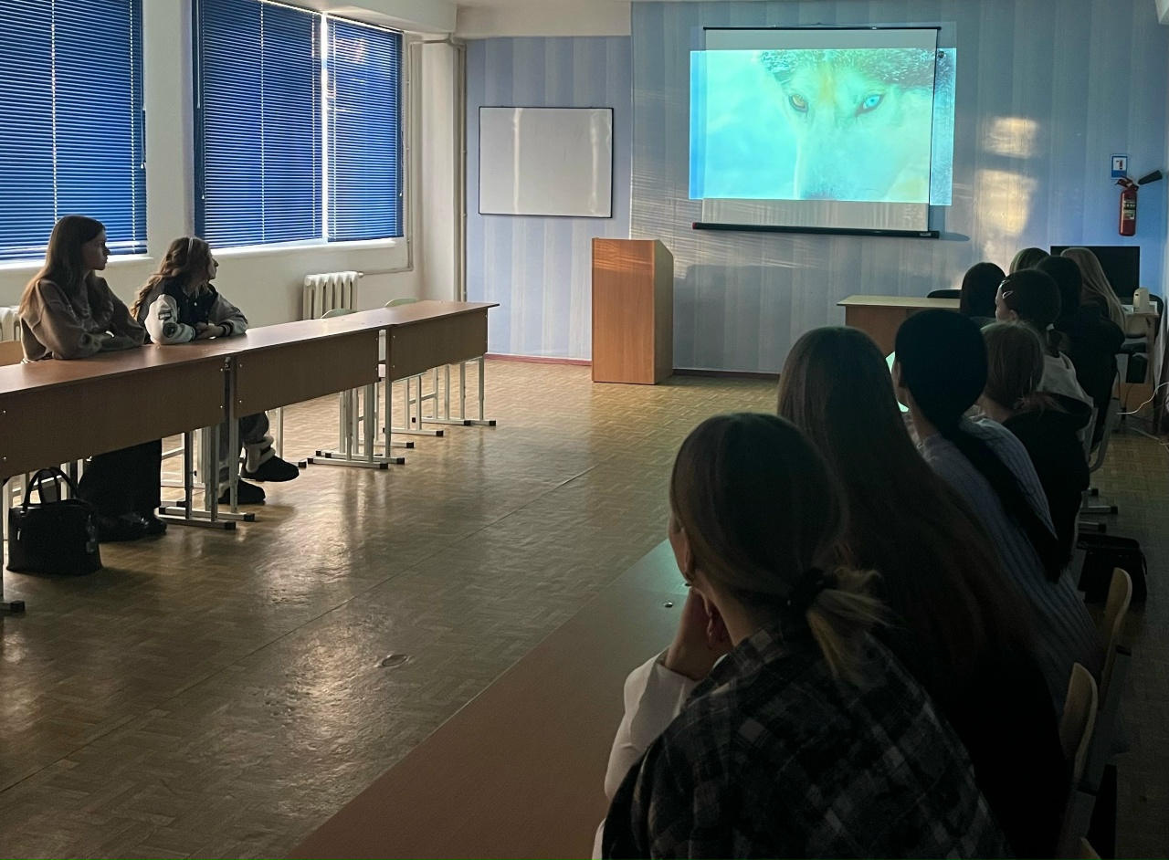 Подробнее о статье Кинопоказ в рамках проекта «Детский спорт» в Ровеньковском колледже ЛГПУ: увлекательные просмотры продолжаются